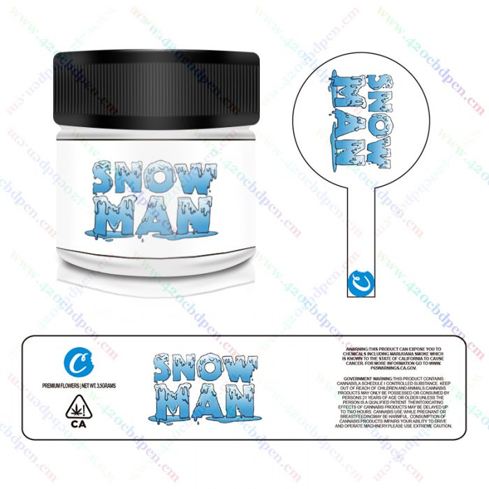 snow man