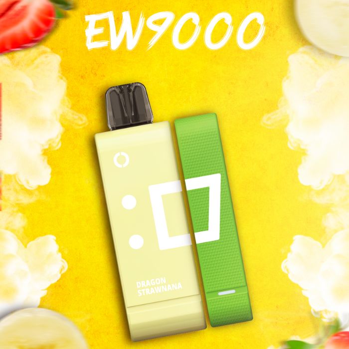 elfbar ew9000 power bank