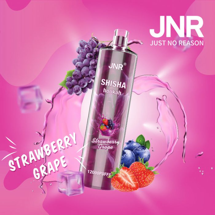 jnr shisha 12000