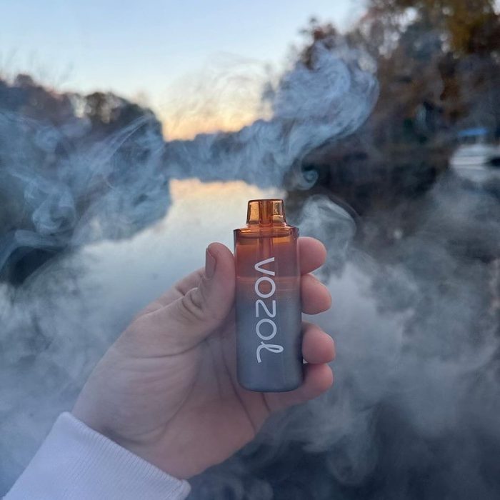 vozol neon 10k puff