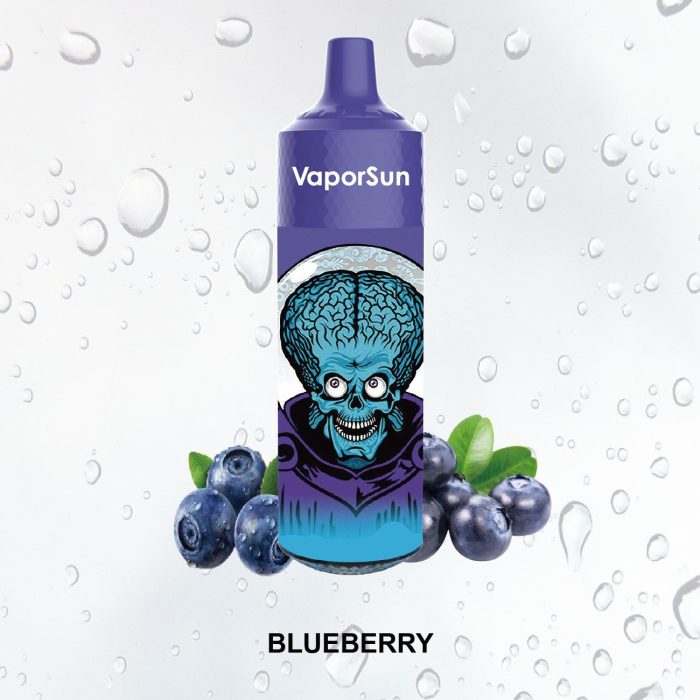 VaporSun 12000 Puff Disposable Vape - Image 3
