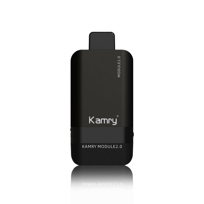 Kamry Modul 12000 puff Vape