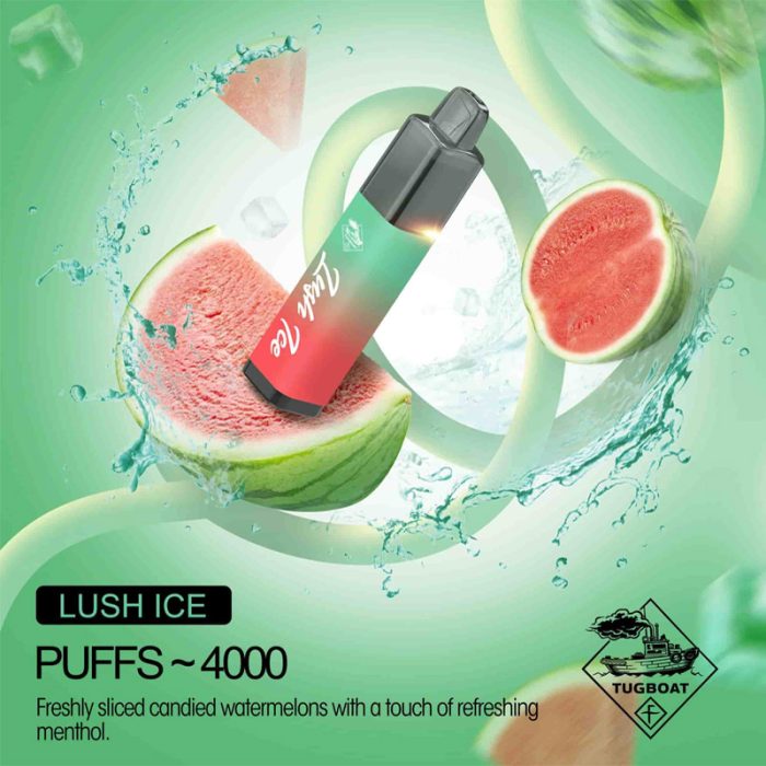 TUGBOAT MEGA 4000 PUFF Vape