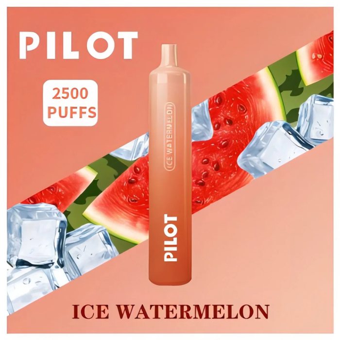 in stock Pilot max 2500 puff Vape