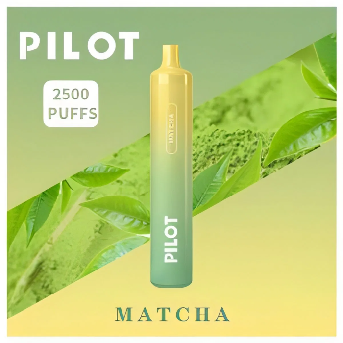 Pilot max 2500 Vape