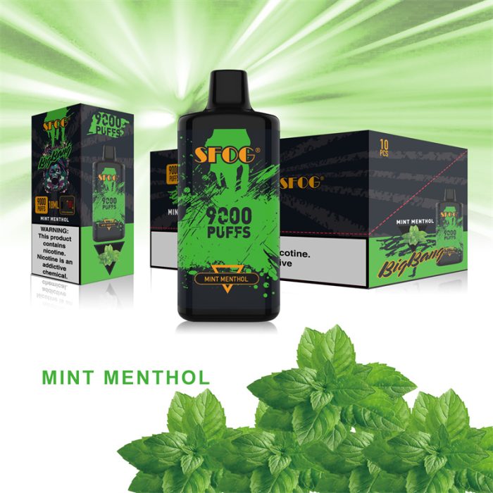 SFOG BIG BANG 9000 puff Vape