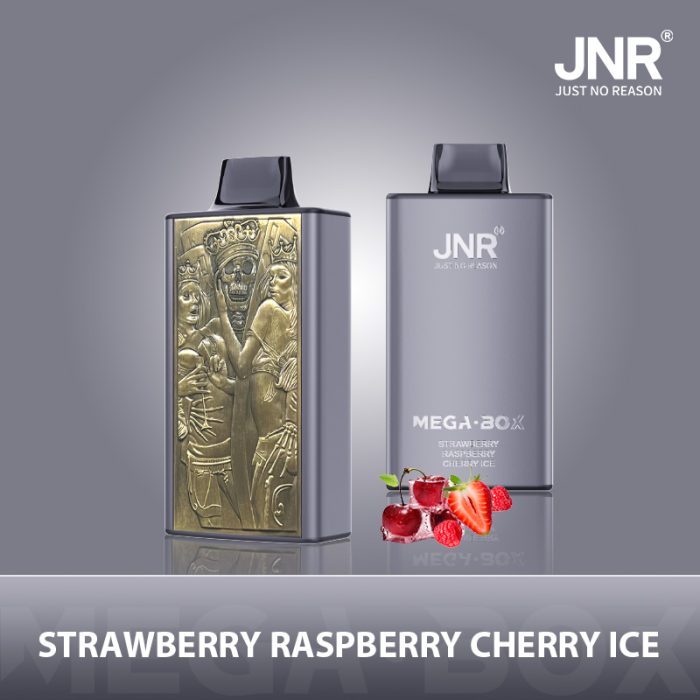 JNR Mega Box 25000 puffs Disposable Vape